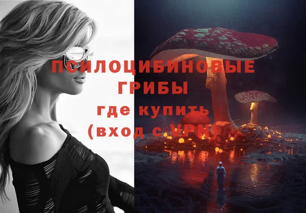 твердый Киренск