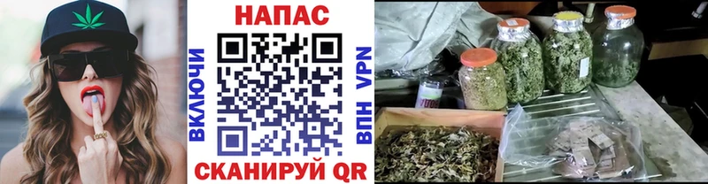 Шишки марихуана Bruce Banner  Гаврилов Посад 